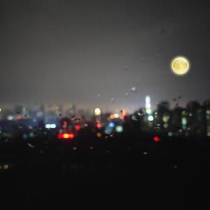 范冰冰扒开粉嫩尿囗让男人桶
